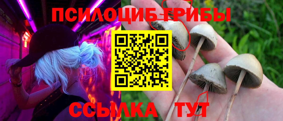 Галлюциногенные грибы прущие грибы  Галлюциногенные грибы MAGIC MUSHROOMS  Вход с VPN  Сосновоборск 